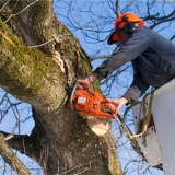 Terrells Tree Service