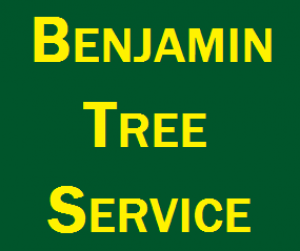 Benjamin Tree Service