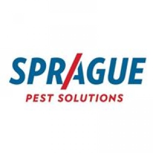 Sprague Pest Solutions