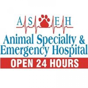 Animal Specialty & Emergency Hospital