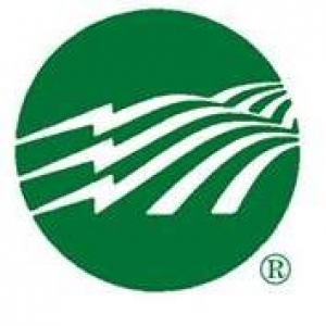 Montana Electric Cooperatives' Association Inc
