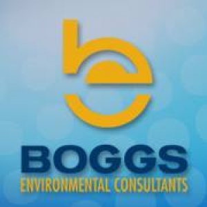 Boggs Environmental