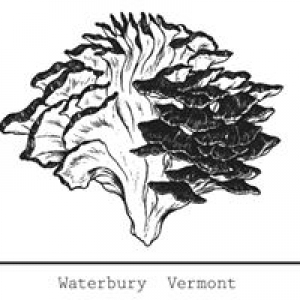 Hen of the Wood-Waterbury
