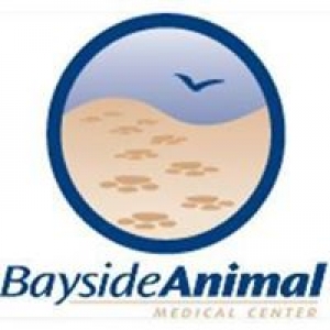 Bayside Animal Medical Center