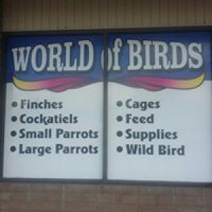 World Of Birds