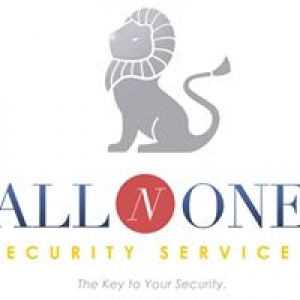 All-N-1 Security Services