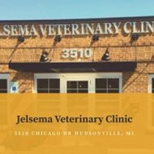 Jelsema Veterinary Clinic