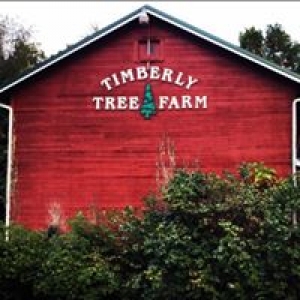 Timberly Tree Farm