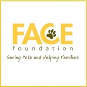 Face Foundation