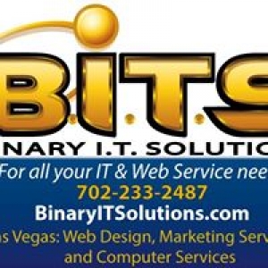 Binary I.T. Solutions, Inc.