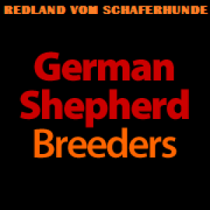 German Shepherd Breeders