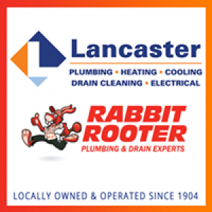 Rabbit Rooter