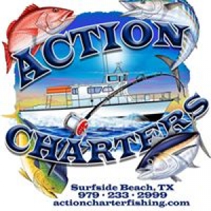 Action Charters