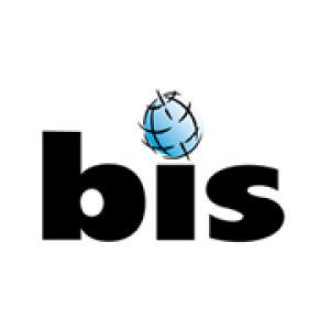 Business Information Solutions - BIS, Inc.