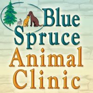 Blue Spruce Animal Clinic