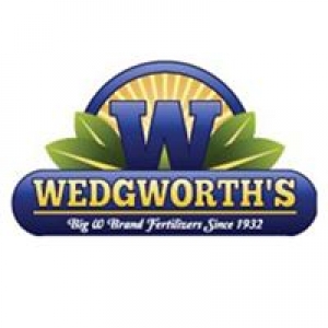 Wedgworth's Inc