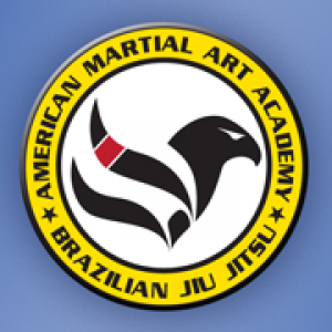 American Martial Art Academy BJJ