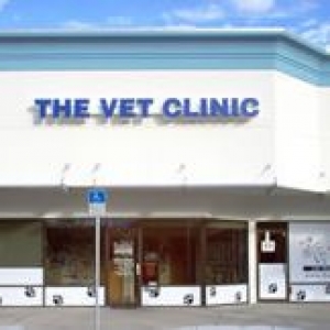 The Vet Clinic of Palm Harbor