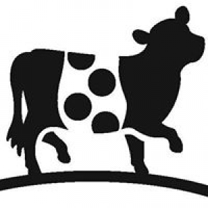 The Belted Cow Company