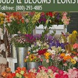 Buds & Blooms Florist