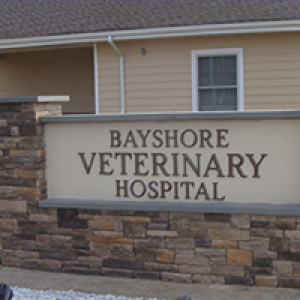 Bayshore Veterinary Clinic
