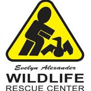 Wildlife Rescue Center Of The Hamptons Inc