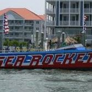 Sea Rocket