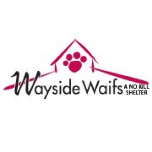 Wayside Waifs Inc
