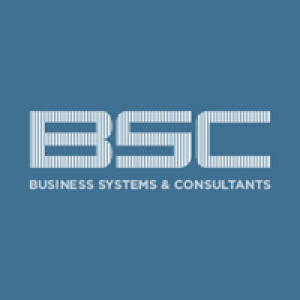 Business Systems & Consultants Inc