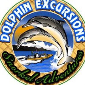 Dolphin Excursions Hawaii
