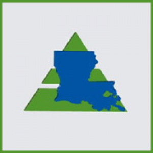 Louisiana Network Inc