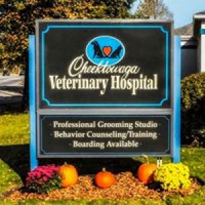 Cheektowaga Veterinary Hospital