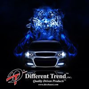 Different Trend Inc