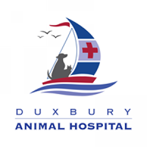 Duxbury Animal Hospital