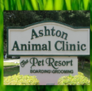 Ashton Animal Clinic