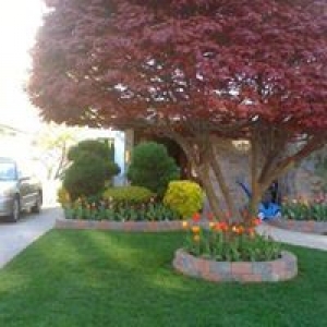 A & J Landscaping of Si Inc