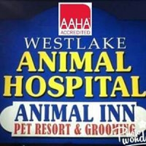 Animal Inn Pet Resort