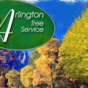 Arlington Tree Service