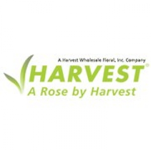 A Rose by Harvest Incorporated