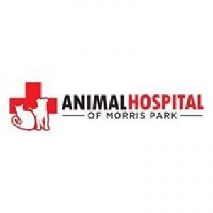Animal Hospital of Morris Park