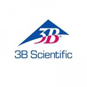 American 3b Scientific