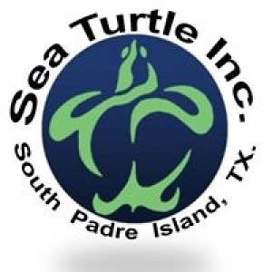 Sea Sea Turtle Incorporated