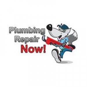 Plumbing Repair Now