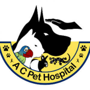 All Critters Pet Hospital