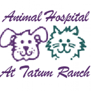 Animal Hospital At Tatum Ranch
