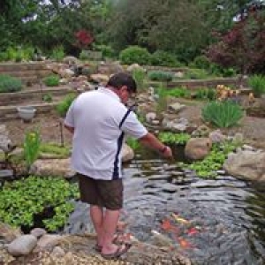 Chris' Water Gardens