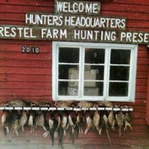 Forrestel Farm Hunting Preserve