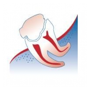 Santa Clarita Endodontics