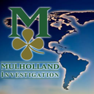 Mulholland Investigation