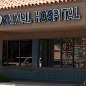 A R Animal Hospital